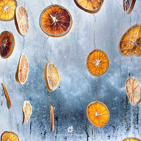 The Perfume of Oranges