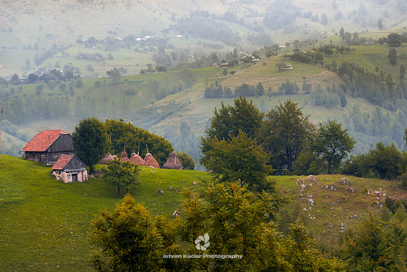 "Carpathian Mountains", Moeciu, Romania, Transylvania, cloud, green, hill, house, landscape, light, mountain, nature, roof, shingle, trees, village