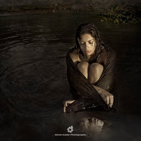 The Widow