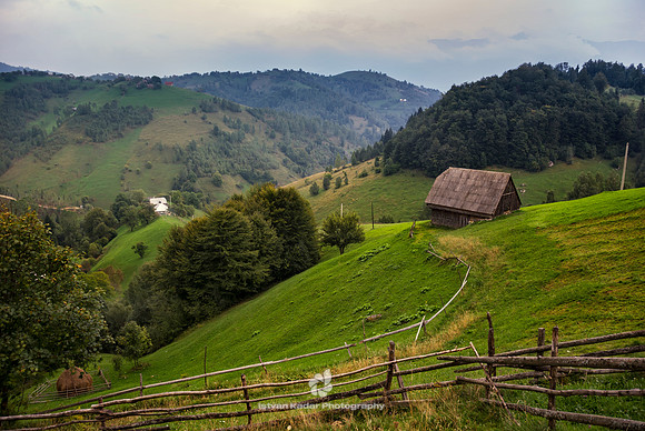 The Hills are Alive