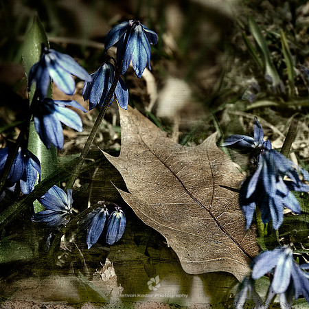 When I'm Blue