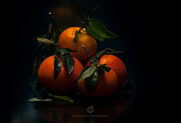 "Black Background", "Citrus Fruid", "Citrus Fruit", Close-Up, "Colour Image", Freshness, "Healthy Eating", Hellenthal, Horizontal, Leaf, "No People", Objects, Reflection, Stem, "Still Life", "Studio S