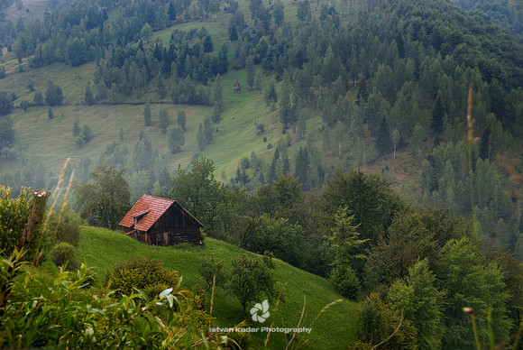 Red Tiled Roof