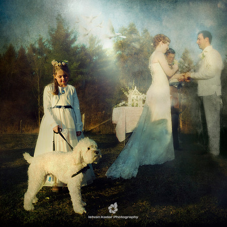 Bridesmaid with Poodle