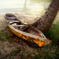 Yellow Leaky Boat