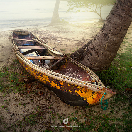Yellow Leaky Boat