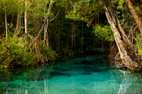 Caribbean, "Caño Frió", "Dominican Republic", Freshwater, Idyllic, Island, Lagoon, Landscape, Light, Mangrove, Nature, Outdoors, Peninsula, "Playa Rincon", "Plody mangrovnika", "Rhizophora mangle", "R