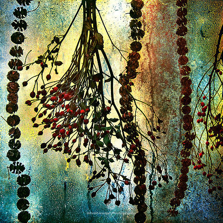 Winter Lights