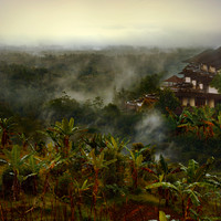 After the Rain