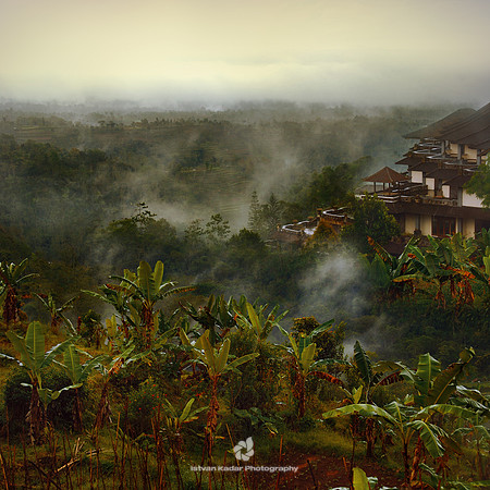 After the Rain
