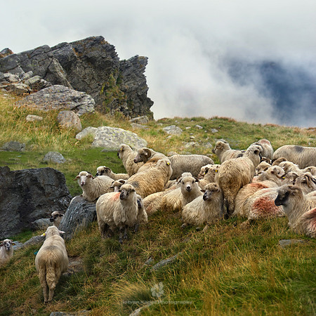 Rest Above the Clouds