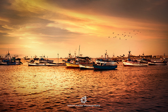 Golden Harbour