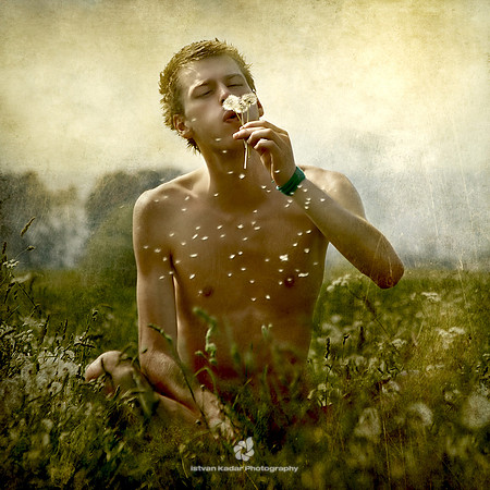Blow Away Dandelion