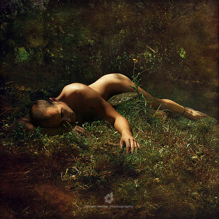 Lost In Nature