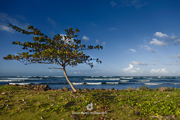 A Place to Think Over