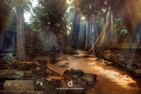 Ta Prohm – The Jungle Temple