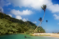 Bay, Beach, Caribbean, "Caribbean Sea", Coastline, "Coconut Palm Tree", Day, "Dominican Republic", Idyllic, Island, Lagoon, Landscape, Nature, Outdoors, "Palm Tree", Peninsula, "Playa Rincon", Reef, "