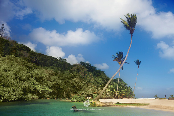 Bay, Beach, Caribbean, "Caribbean Sea", Coastline, "Coconut Palm Tree", Day, "Dominican Republic", Idyllic, Island, Lagoon, Landscape, Nature, Outdoors, "Palm Tree", Peninsula, "Playa Rincon", Reef, "