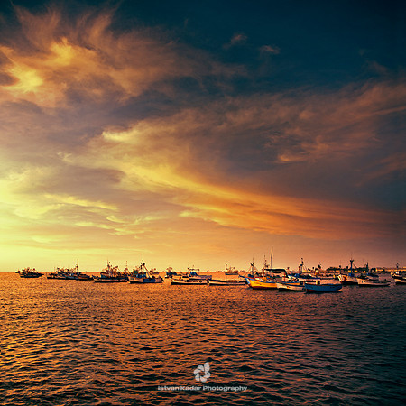 Anchored Boats