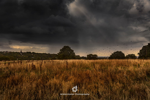 Before Rain
