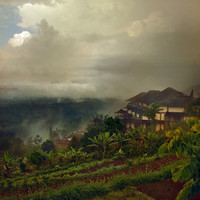 Smell the Rain