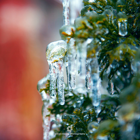 Ice on Green