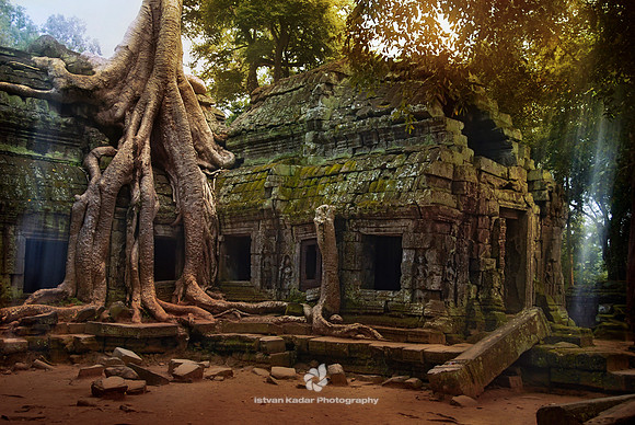 Ta Prohm Temple