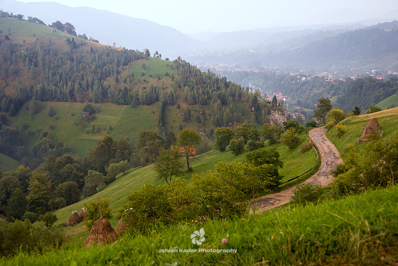 "Carpathian Mountains", Moeciu, Romania, green, hill, landscape, mountain, trees, village, nature, Transylvania, road, curve,