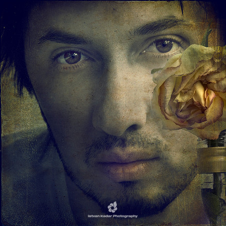 Face with a Rose