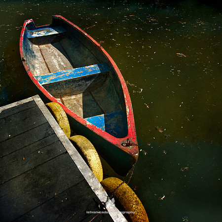 Without a Paddle