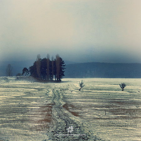 Days of Absence
