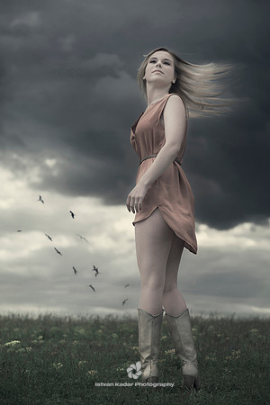 beauty, birds, boots, dress, field, flowers, girl, nature, portrait, pretty, stand, turn, wind, woman, clouds, spring