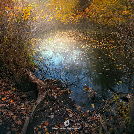 November Pond - 2013