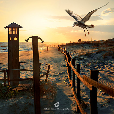 Capocotta Beach