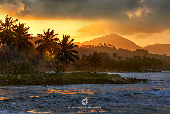 Bay, Beach, Caribbean, "Caribbean Sea", Coastline, "Coconut Palm Tree", Day, "Dominican Republic", Idyllic, Island, Landscape, Nature, Ocean, Outdoors, "Palm Tree", Peninsula, "Playa Aserradero", Reef