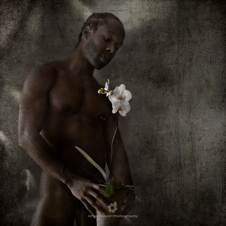 The Coquettish Flower