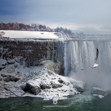 Winter Solemnity - 2011