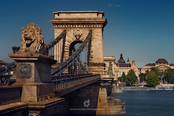 "Animal Representation", Architecture, "Bridge - Man Made Structure", Budapest, "Built Structure", "Capital Cities", "Carving - Craft Product", "Chain Bridge", City, "Clear Sky", "Colour Image", Cultu