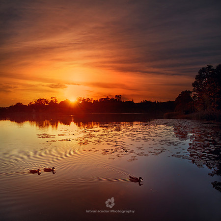 Grenadier Pond, High Park, Toronto - 2010