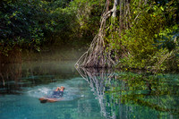 Bathing, Caribbean, "Caño Frió", Dipping, "Dominican Republic", Freshwater, Idyllic, Island, Lagoon, Landscape, Light, Mangrove, Nature, Outdoors, Peninsula, "Playa Rincon", "Plody mangrovnika", "Rhiz