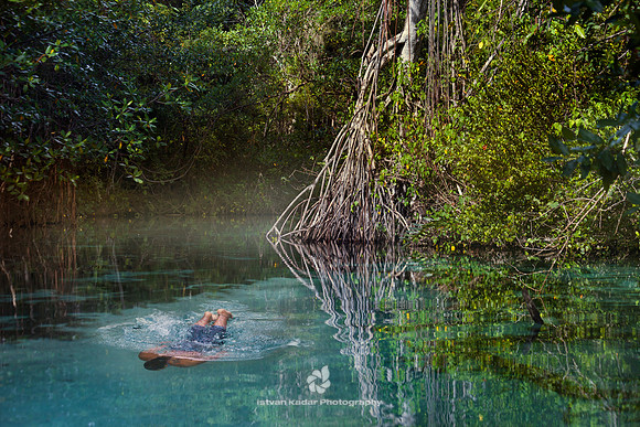 Bathing, Caribbean, "Caño Frió", Dipping, "Dominican Republic", Freshwater, Idyllic, Island, Lagoon, Landscape, Light, Mangrove, Nature, Outdoors, Peninsula, "Playa Rincon", "Plody mangrovnika", "Rhiz