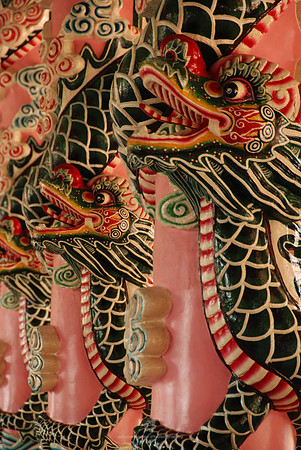 Spirit in the Dragons