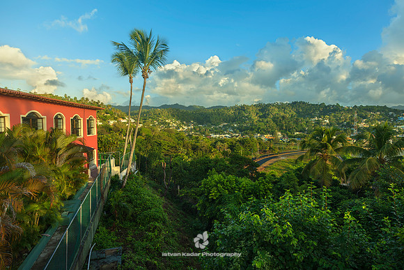 green, Samana, "Dominican Republic" palm, tree, town, building, tropic, Caribbean, resort, vacation, clouds, summer