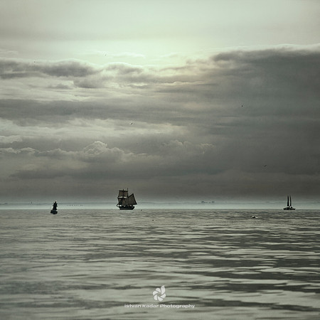Grey Day - 2011
