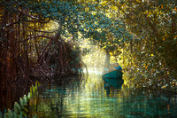 Boat, Boating, Caribbean, "Dominican Republic", Idyllic, Island, Lagoon, Landscape, Light, Mangrove, Nature, Outdoors, Peninsula, "Playa Rincon", "Plody mangrovnika", "Rhizophora mangle", Río Frío, Su