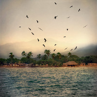Dreams Float Upon the Air