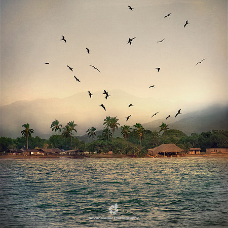 Dreams Float Upon the Air
