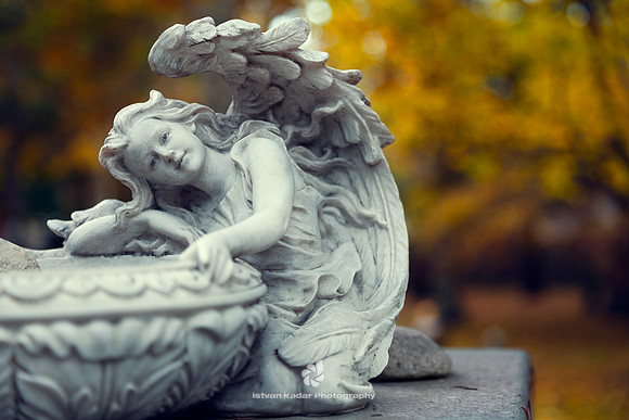 Solace Through an Angel’s Smile - 2013