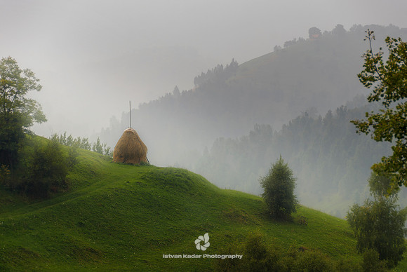 Haystack