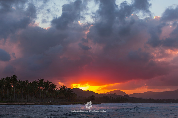 Bay, Beach, Caribbean, "Caribbean Sea", Coastline, "Coconut Palm Tree", Day, "Dominican Republic", Idyllic, Island, Landscape, Nature, Ocean, Outdoors, "Palm Tree", Peninsula, "Playa Aserradero", Reef